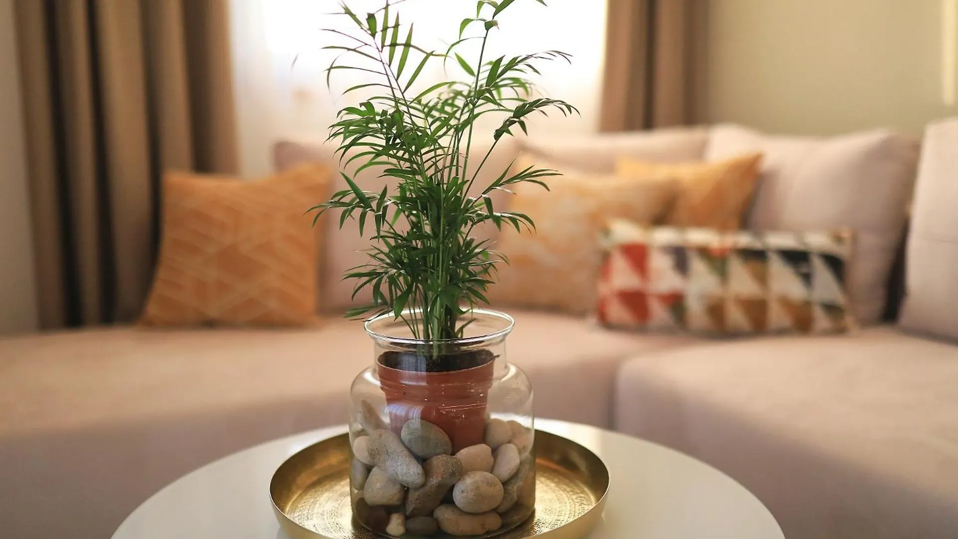 **** Appart hôtel Villa Manda Zadar Luxury Apartments Croatie